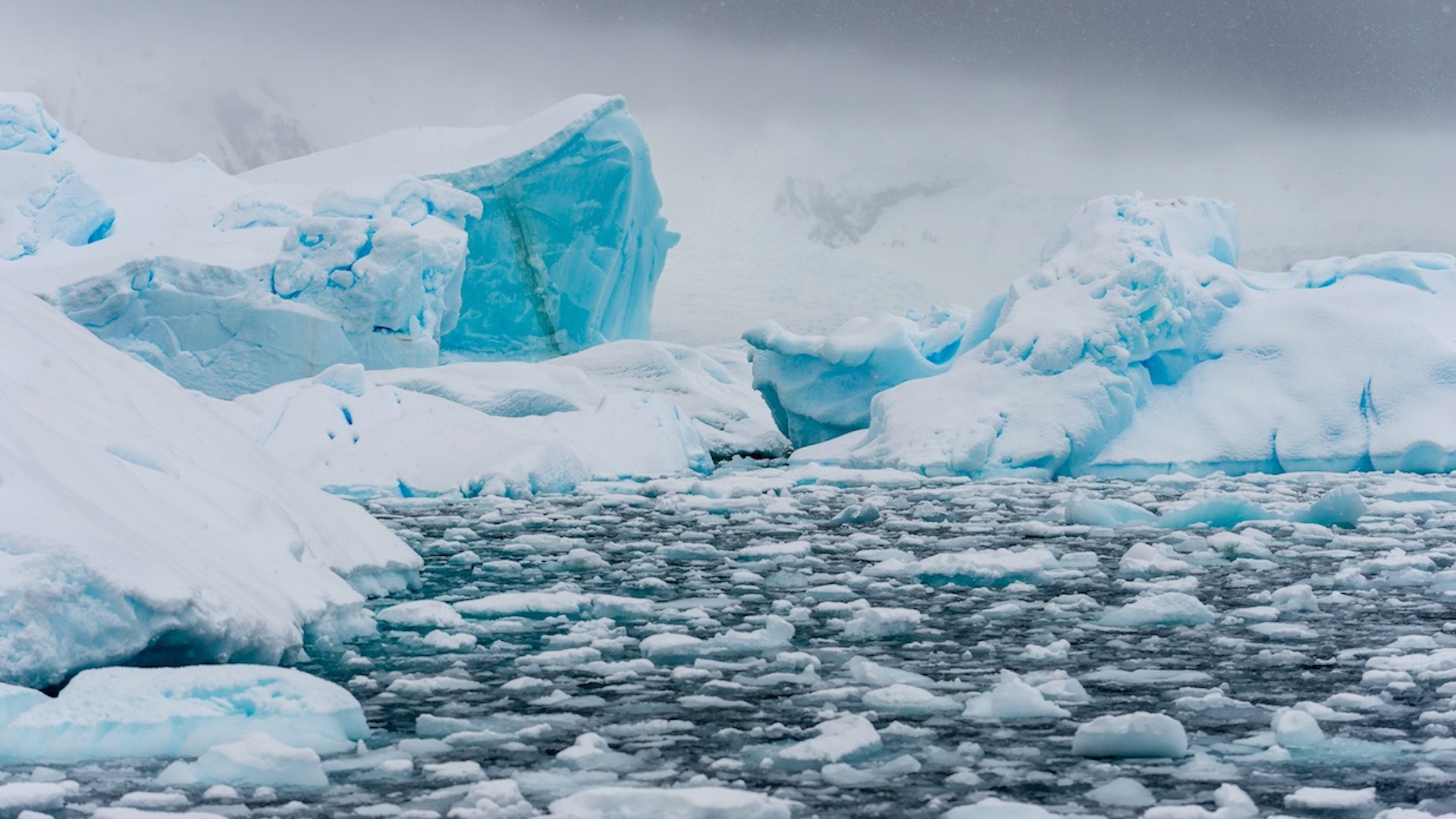 Glaciares pierden hielo en zonas polares desde el 2000. Foto de Paul Carroll para Unsplash