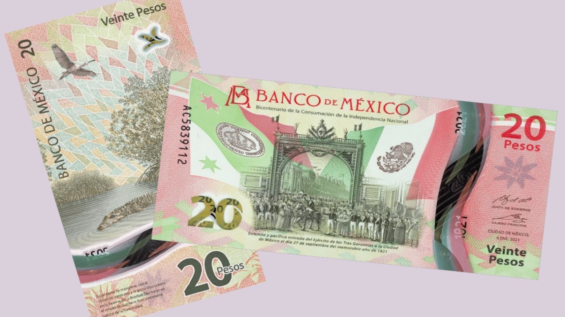 El nuevo billete de 20 pesos con imágenes de Sian Ka’an. Foto de Banxico