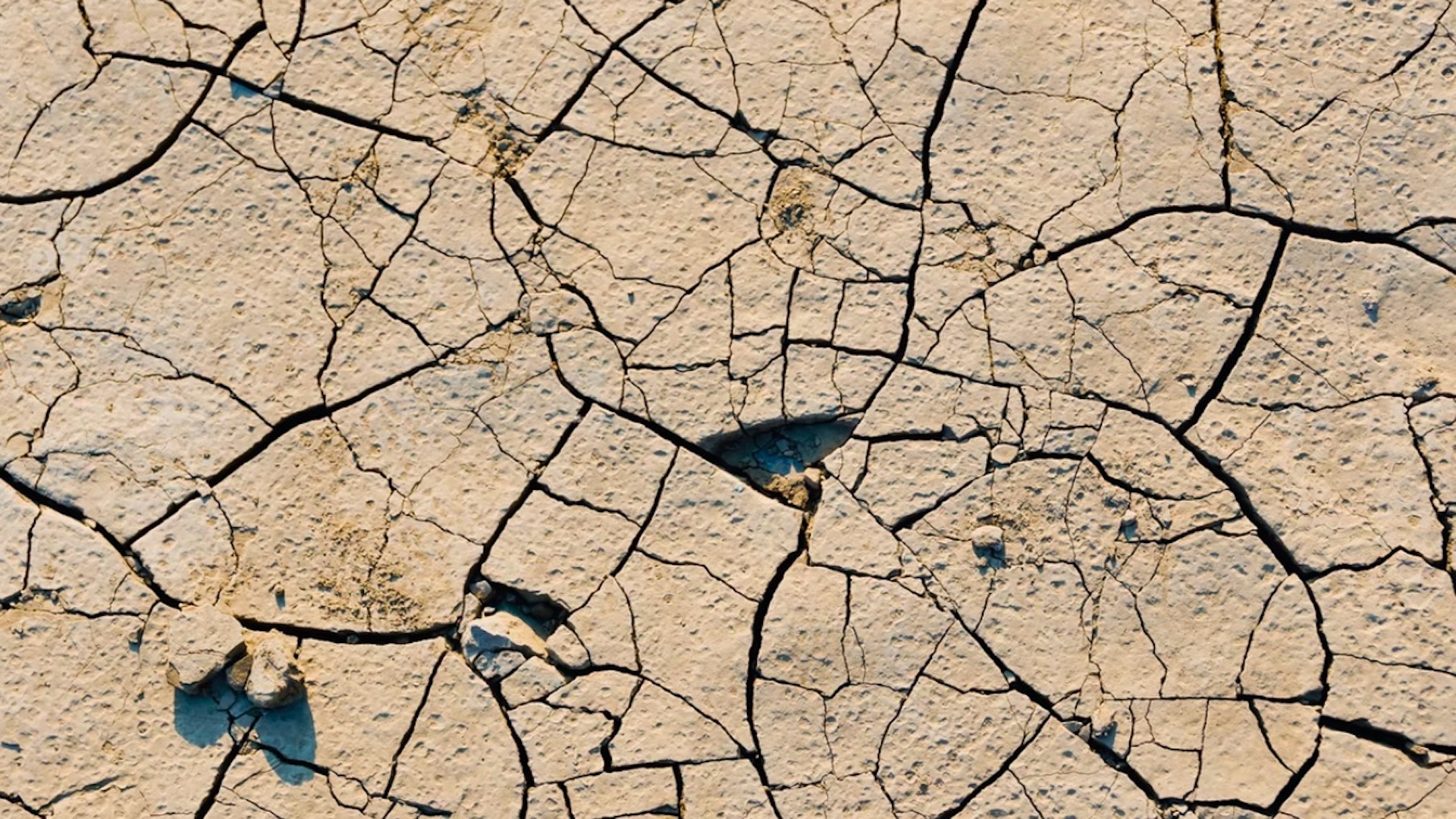 Europa experimentará sequías extremas en los próximos años. Foto de Anton Ivanchenko para Unsplash