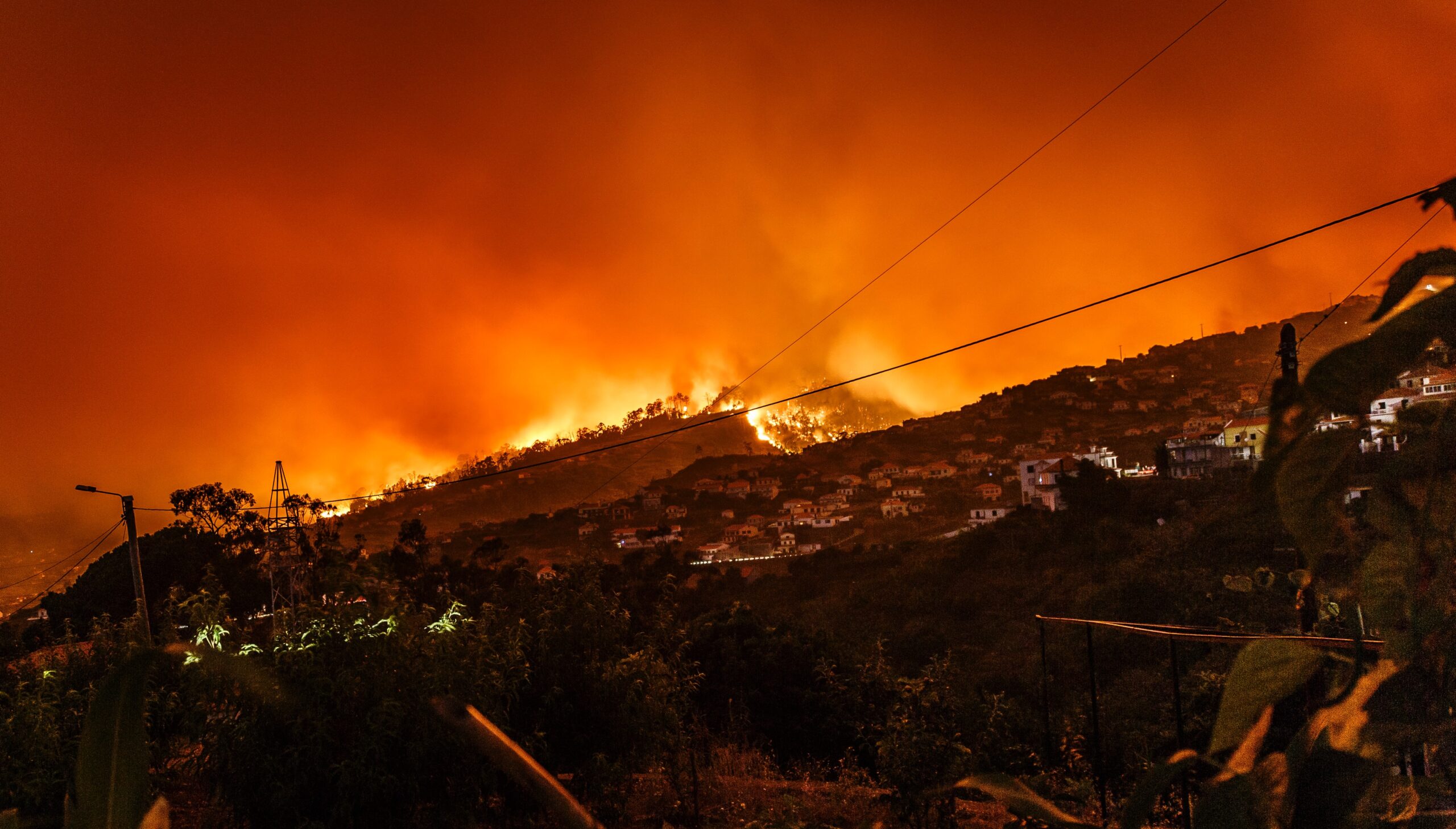 abril, julio y agosto fueron los meses con más emisiones de gases de efecto invernadero registrados como consecuencia de los incendios forestales. Foto de Michael Held para Unsplash