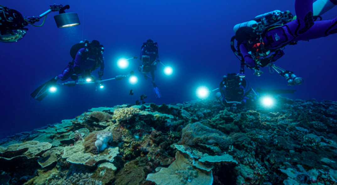 Descubren extenso arrecife de coral en Tahití. Foto de Unesco