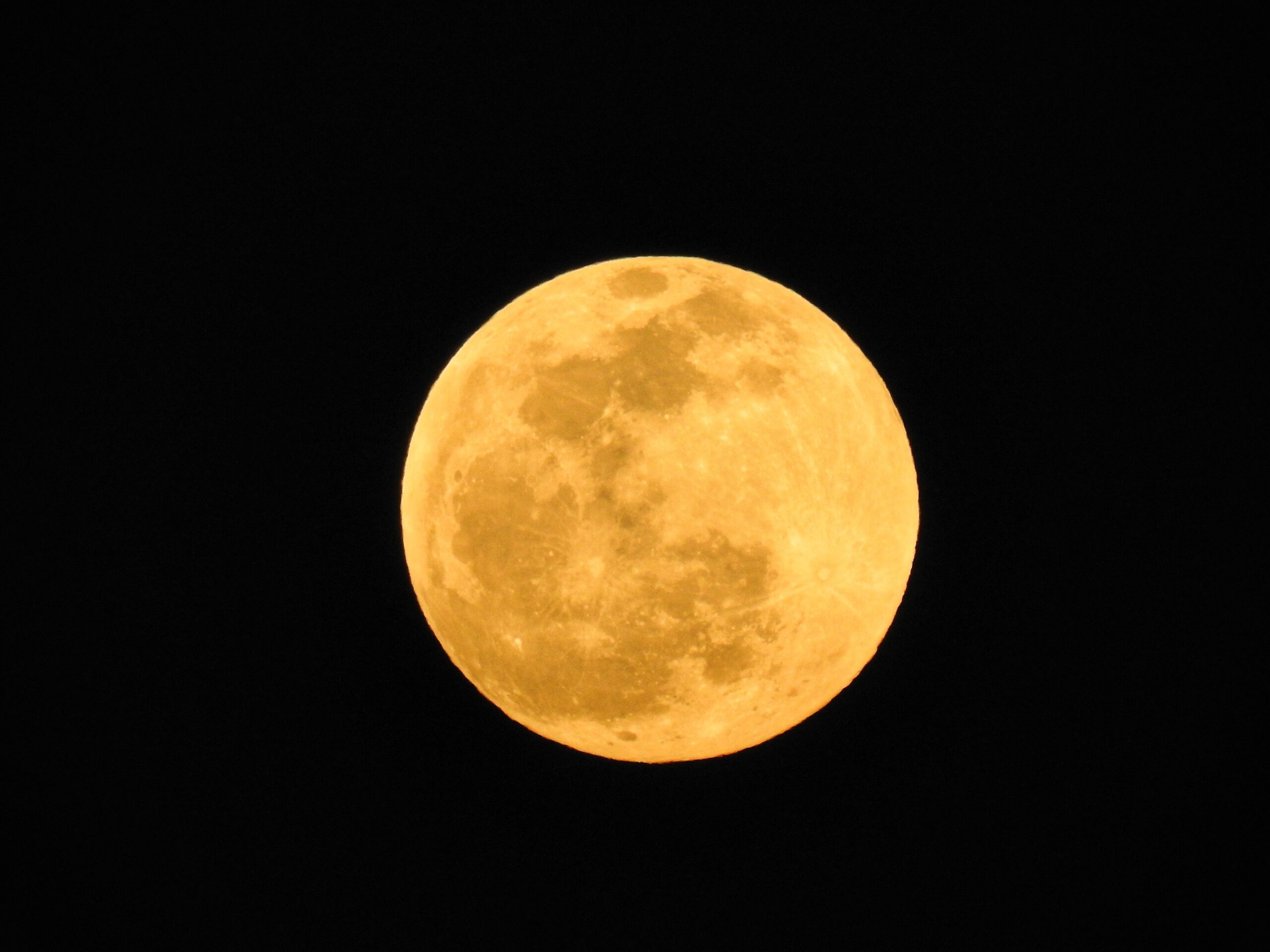 Ya viene la primera luna llena del año. Foto de Renzo D'Souza para Unsplash