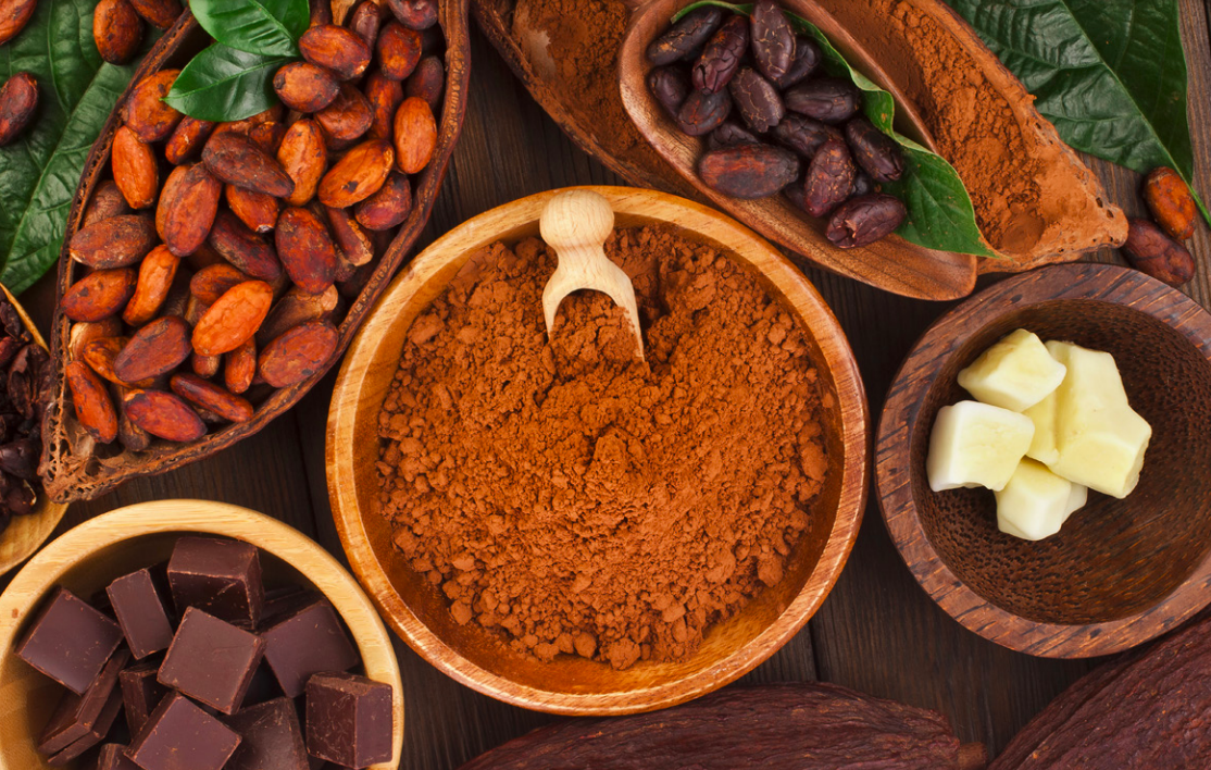 El cacao y su origen. Foto de Gobierno de México