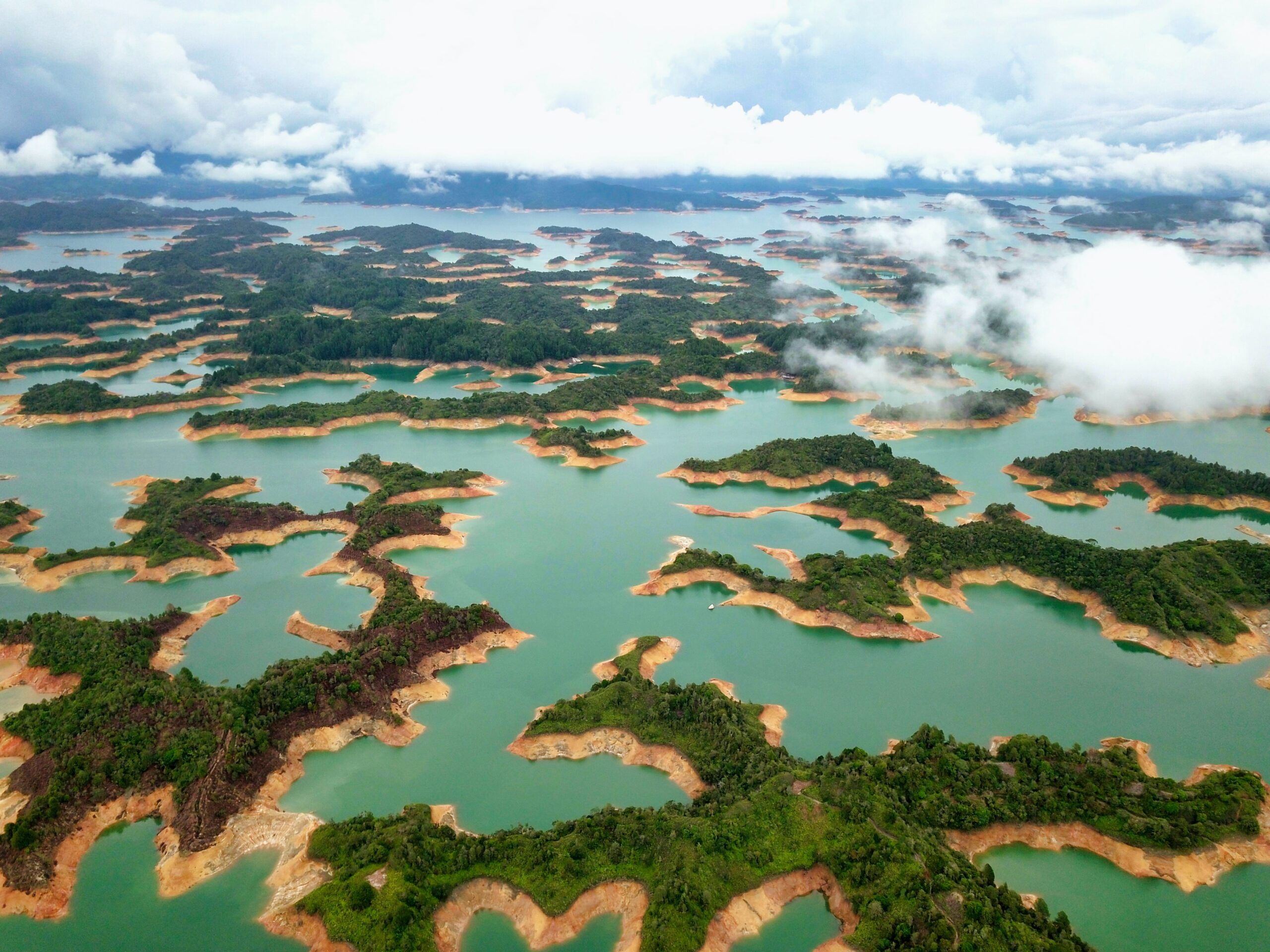 Parte de Colombia será considerada área protegida. Foto de Datinscout para Unsplash
