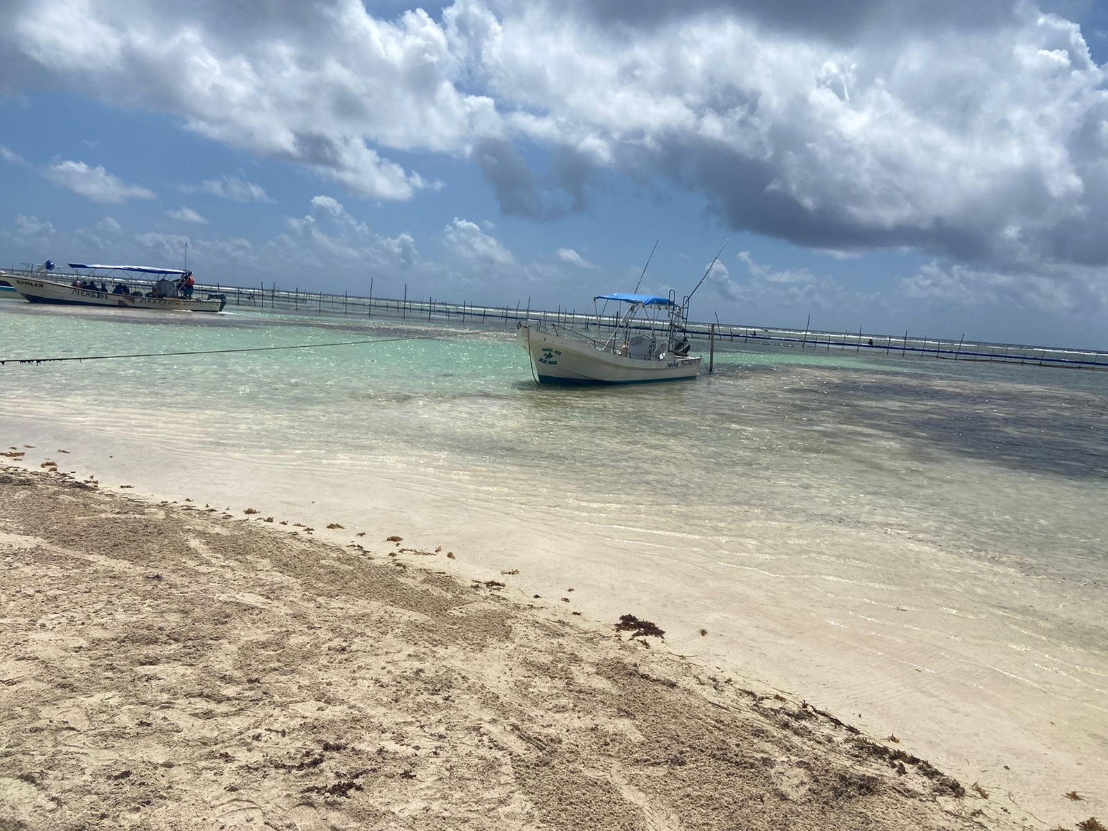 Prevén llegada de sargazo al Caribe. Foto de Secretaría de Turismo Quintana Roo