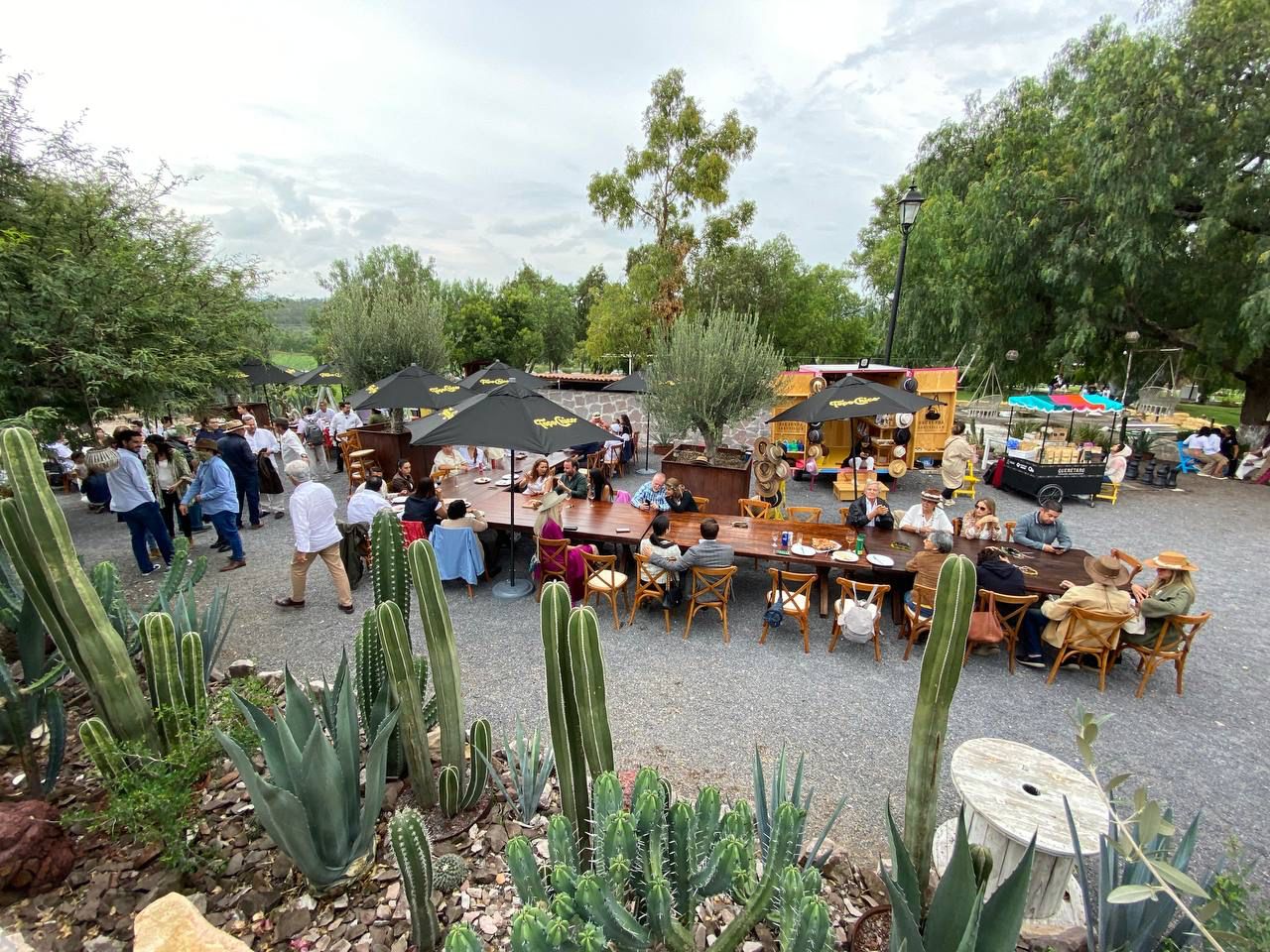 Hacienda Lagunillas y Grupo Sayil realizan con éxito su vendimia. Foto de Webcams de México