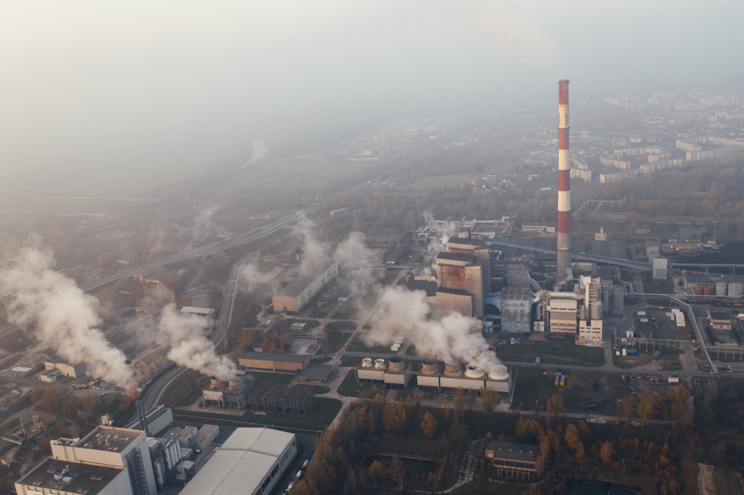 El Día Internacional Contra el Cambio Climático, un llamado a la acción. Foto de Marcin Jozwiak en Unsplash