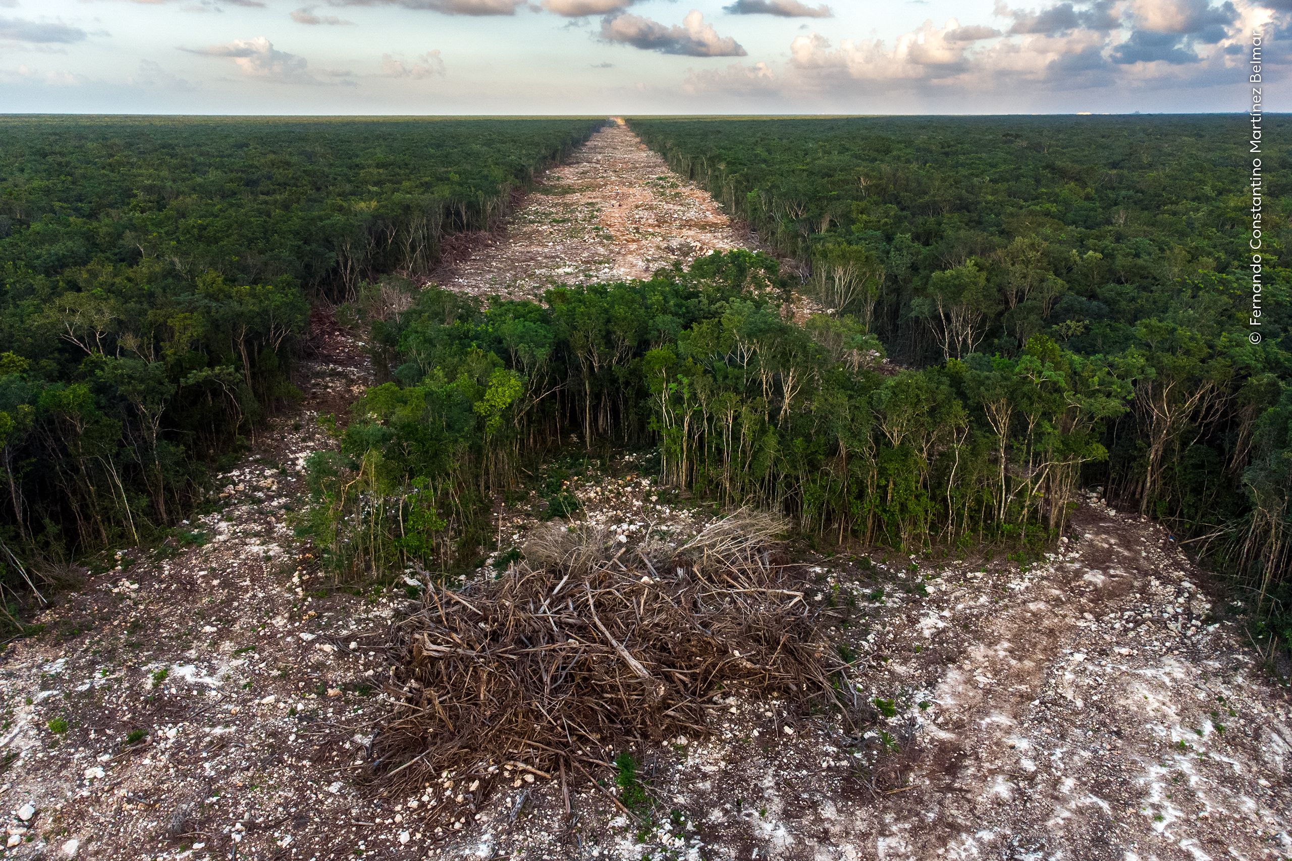 Fotógrafo mexicano gana certamen de vida silvestre en Londres. Foto de X @NHM_WPY