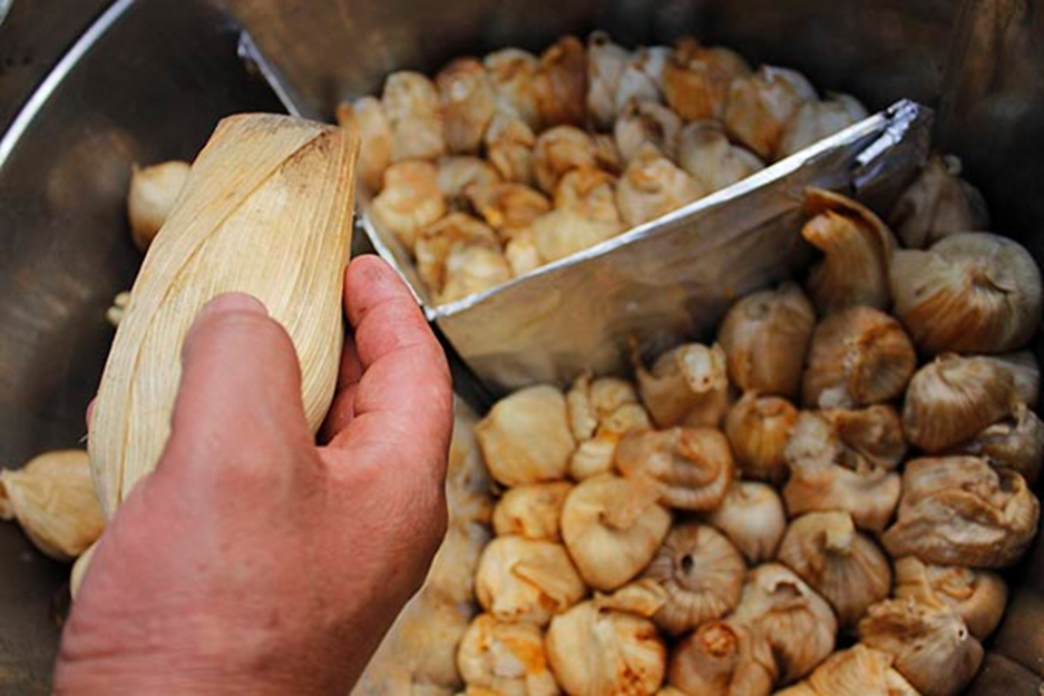 Los tamales: el sabor de la Candelaria. Foto de Gobierno de México